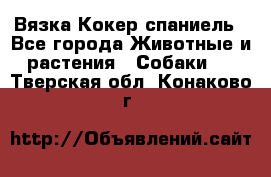 Вязка Кокер спаниель - Все города Животные и растения » Собаки   . Тверская обл.,Конаково г.